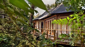 Kasiiya Papagayo