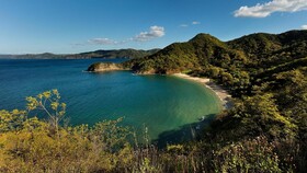 Kasiiya Papagayo
