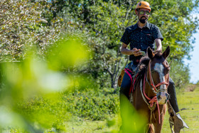 Rinconcito Lodge