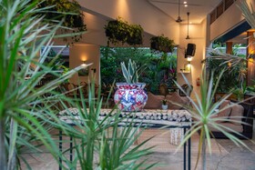 The Withe Palms Nosara Yoga Surf Hotel