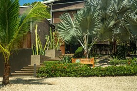 The Withe Palms Nosara Yoga Surf Hotel