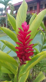 Hotel Fuego Arenal