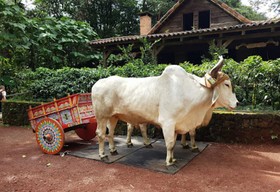 Peace Lodge