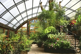 Peace Lodge