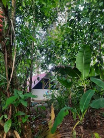 Costa Rica Camping Lodge