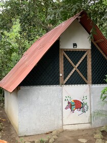 Costa Rica Camping Lodge
