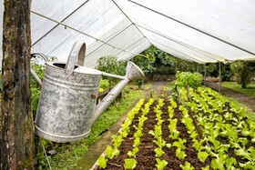 La Quinta Lodge Sarapiqui