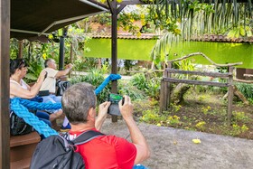 La Quinta Lodge Sarapiqui