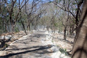 Best Western El Sitio Hotel & Casino