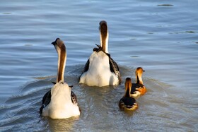 Best Western El Sitio Hotel & Casino