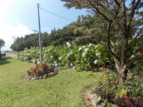 Hotel Las Orquideas