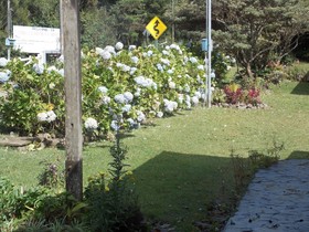 Hotel Las Orquideas