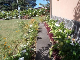 Hotel Las Orquideas