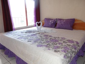 Hotel Sloth Backpackers