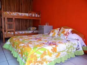 Hotel Sloth Backpackers