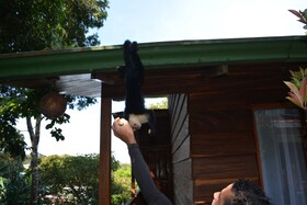 Santa Elena Hostel Resort