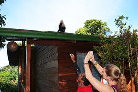 Santa Elena Hostel Resort