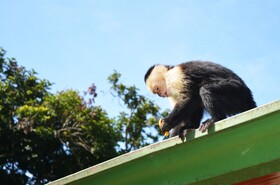 Santa Elena Hostel Resort