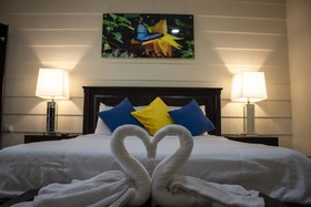 Suites & Villas Calathea