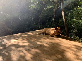 Tierra Magnifica an Intimate Resort