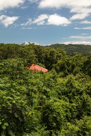 Tierra Magnifica an Intimate Resort