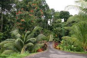 Villas de Oros