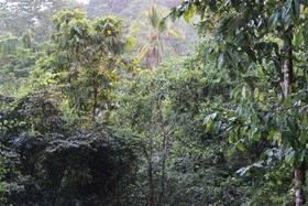 Villas de Oros