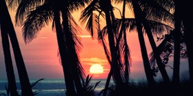 Clandestino Beach Resort