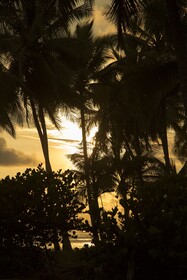 Clandestino Beach Resort