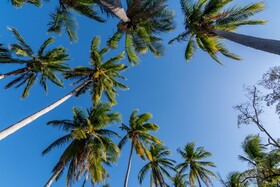 Villas Playa Hermosa Beach Hotel