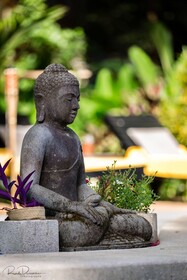 Curiol Boutique Hotel & Lounge