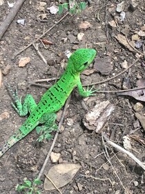 Curiol Boutique Hotel & Lounge