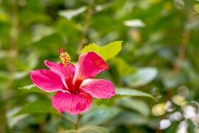 Curiol Boutique Hotel & Lounge