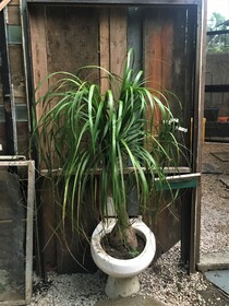 Curiol Boutique Hotel & Lounge