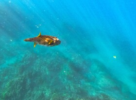 Curiol Boutique Hotel & Lounge