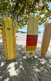 Arenas del Mar Beachfront & Rainforest Resort