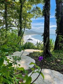 Arenas del Mar Beachfront & Rainforest Resort