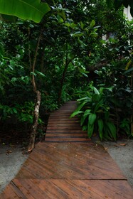 Arenas del Mar Beachfront & Rainforest Resort