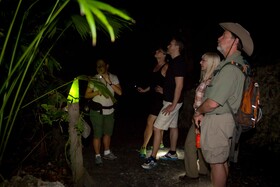 Arenas del Mar Beachfront & Rainforest Resort