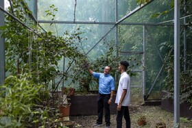 Arenas del Mar Beachfront & Rainforest Resort