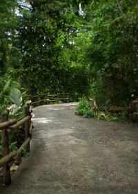 Arenas del Mar Beachfront & Rainforest Resort