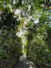 Arenas del Mar Beachfront & Rainforest Resort