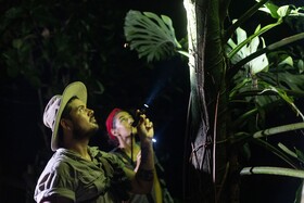 Arenas del Mar Beachfront & Rainforest Resort