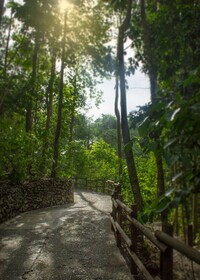 Arenas del Mar Beachfront & Rainforest Resort