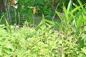 Hotel Las Tres Banderas