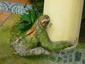 Hotel Las Tres Banderas