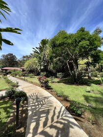 La Foresta Nature Resort