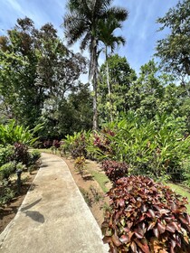 La Foresta Nature Resort