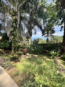 La Foresta Nature Resort