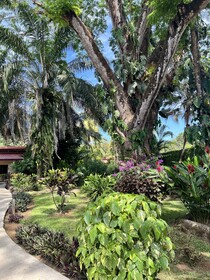 La Foresta Nature Resort